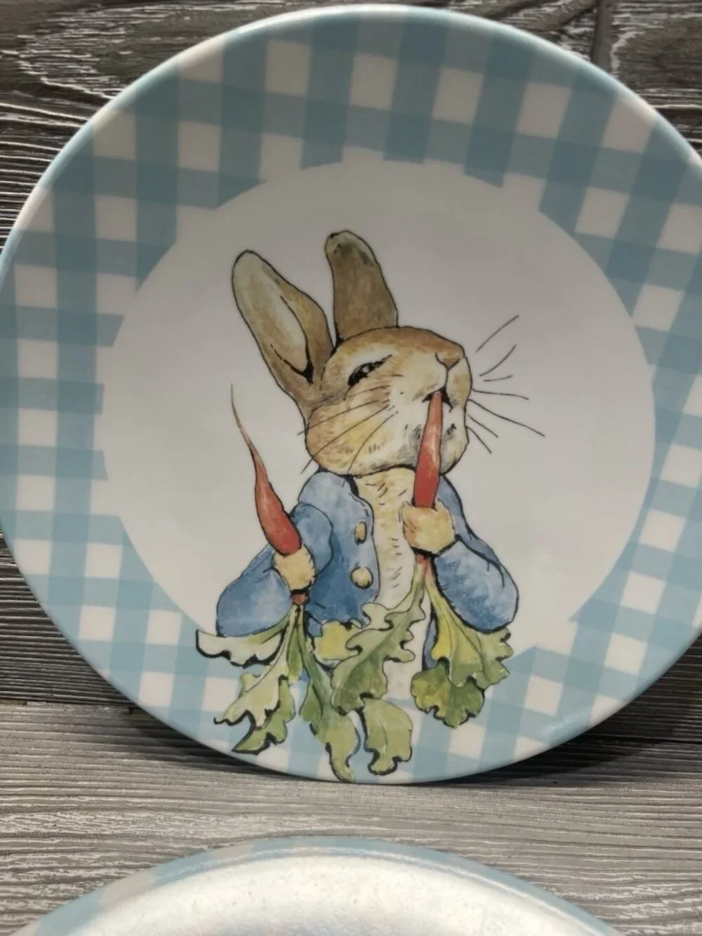 Pottery Barn Kids Peter Rabbit Melamine Gingham Plates 9